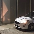 Raid dei predoni della Murgia sventato grazie al tempestivo intervento della Vegapol e dei Carabinieri