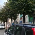 Cane bloccato all'interno del cancello di una banca: intervento della Vegapol e della Polizia locale