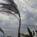Arriva una nuova allerta meteo sulla Puglia