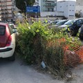 Viabilità stradale: pericolo su via Murge, davanti alla scuola "Rodari "