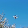 Agricoltura 4.0, droni in volo ad Andria per migliorare la produttività - VIDEO
