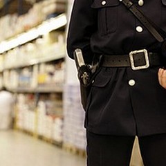 Caracciolo (Pd): "Tutelare il lavoro delle guardie giurate. La categoria con la retribuzione più bassa "