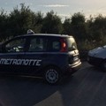 Predoni in azione sulla sp 231: intervento della Metronotte di Ruvo di Puglia