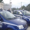 Tentano di rubare pannelli fotovoltaici ma vengono messi in fuga dai vigilantes
