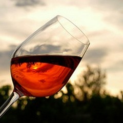 Enoturismo: domenica cantine aperte per Benvenuta Vendemmia