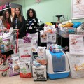 Raccolta di beni e alimenti per randagi, straordinaria catena di solidarietà