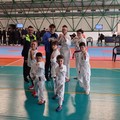 Ottimi risultati per il Warang Group Andria al campionato nazionale di taekwondo