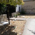 Via della Pineta: aiuole invase dai rifiuti da ben 3 settimane