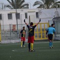 Gara del  "Miramare ": sentenza falsata, la Nuova Andria Calcio presenterà ricorso