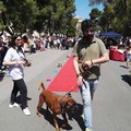 I edizione di "Domenica a 4 zampe " grazie all'ass. IdeAzione