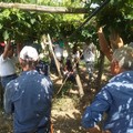 Decaro firma ordinanza su lavoro all'aperto al caldo e prevenzione rischi sanitari