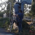 Fotocellula a Quarto di Palo: a chi serve?