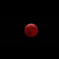 E  "super " Luna fu, l'eclissi incanta gli andriesi a Castel del Monte