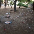 La Pineta comunale, trasformata in una discarica a cielo aperto