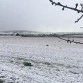 Torna il maltempo sulla Puglia, da domani forte vento e rischio nevicate