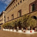 Vengono dalla Puglia gli ulivi secolari portati in piazza, a Milano?
