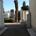 Cercasi interventi di manutenzione e di salvaguardia del verde cimiteriale