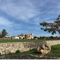 ArtTurism presenta a Corato, il “folk food & music festival”