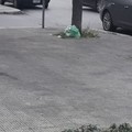 Ancora inciviltà in via Annunziata, immondizie abbandonate per strada