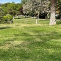 Avviata ad Andria una petizione online per aumentare le aree attrezzate al gioco, allo svago ed allo sport