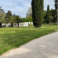  "Andria, una città con sempre più verde e sempre meno smog "