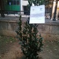 L'Associazione  "Hi Nic " incontra gli alunni del 1^ circolo  "Oberdan " Andria