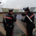 Carabinieri di Andria sequestrano 4 autoparchi per violazione di reati ambientali