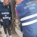 Sequestro ad Andria di 180 quintali di "olio extravergine bio " ma in realtà anche lampante