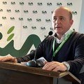 Crisi idrica anche nella BAT: "Oliveti e rischio con lo stop irriguo”