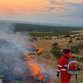 Ennesimo incendio tra Minervino Murge e Andria: fiamme domate in serata