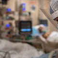 "Sono uscito dal Covid più fortificato e attento ai bisogni dei sofferenti ": Sabino Zinni racconta la sua esperienza