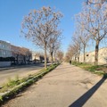 Rigenerazione delle aree produttive di Andria: incontro tra associazioni d' impresa ed Amministrazione Comunale