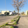Invito al Comune: "La città può trasformarsi ripartendo dalle aree produttive "