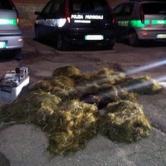 Scoperta attività di uccellagione in area tutelata a Trinitapoli