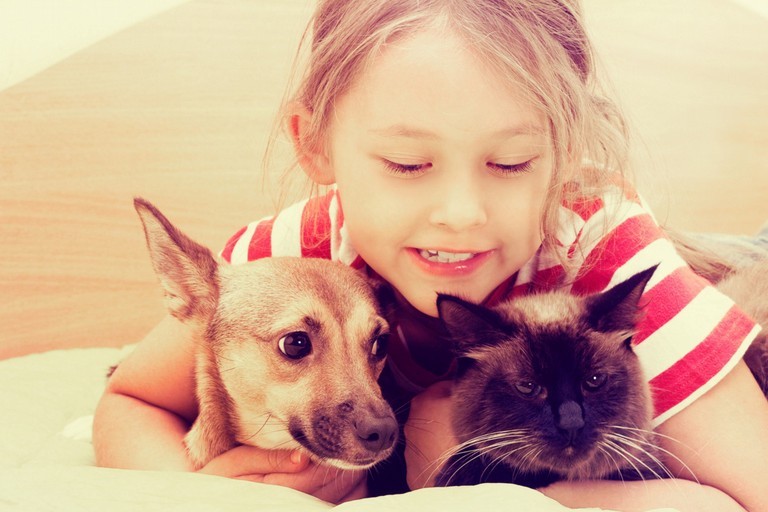bimba con cane e con gatto