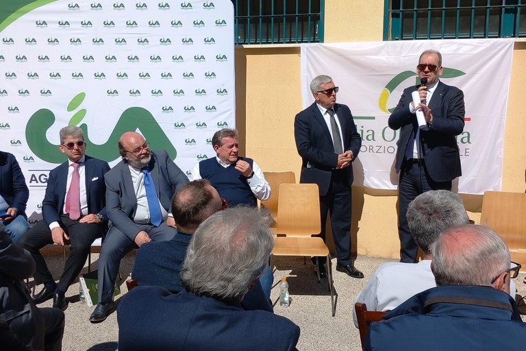 incontro olivicoltori e frantoiani