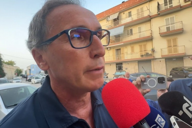 senatore Boccia