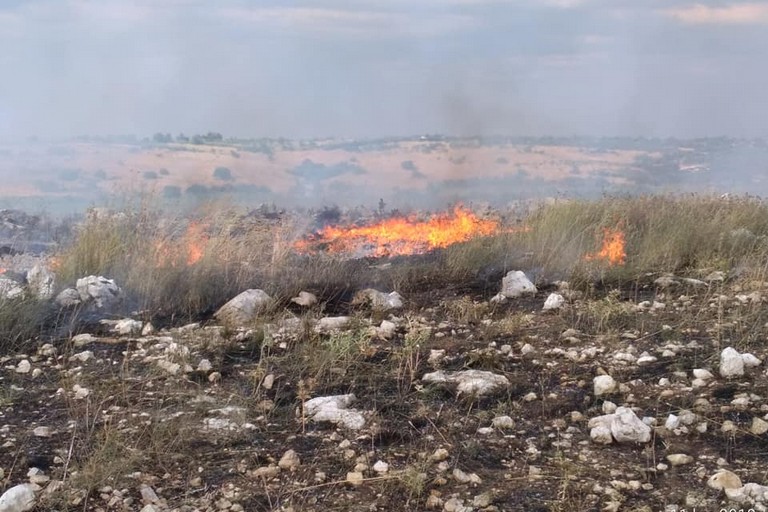 incendio contrada Bosco Santo Spirito
