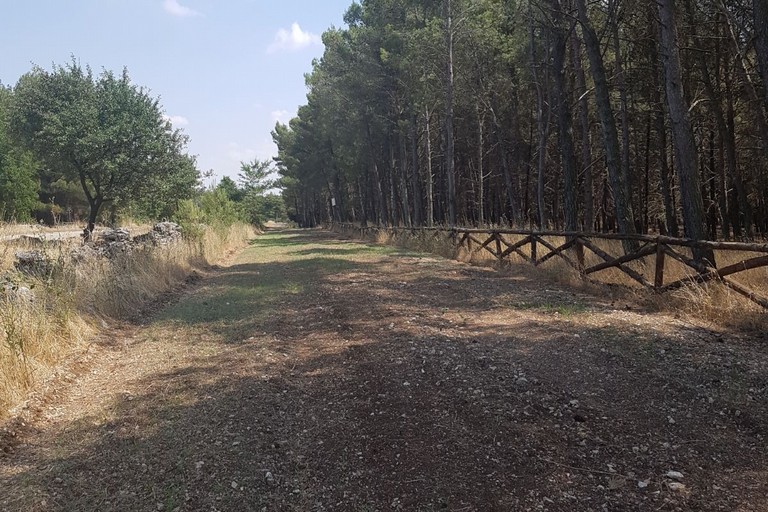 Bosco di Finizio