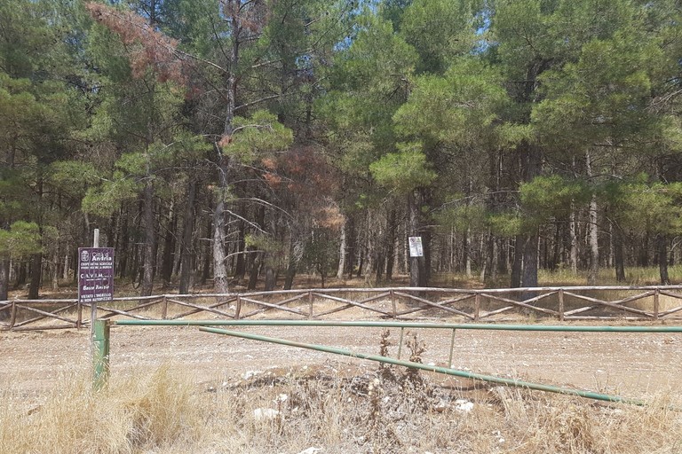 Bosco di Finizio
