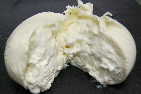 burrata