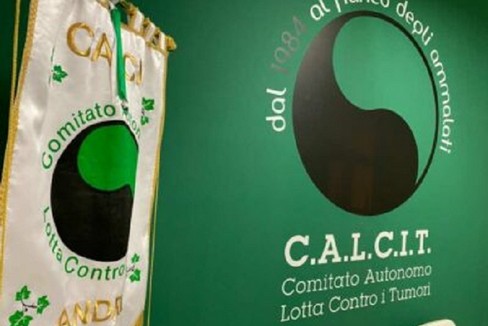 calcit sede logo