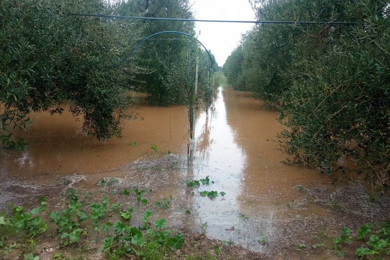 campagne allagate e piccoli smottamenti.