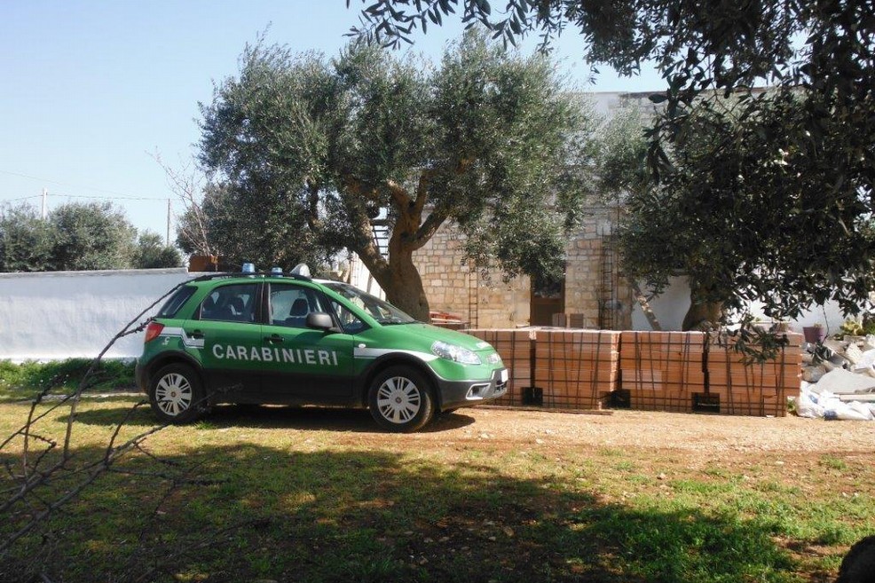 Carabinieri forestali