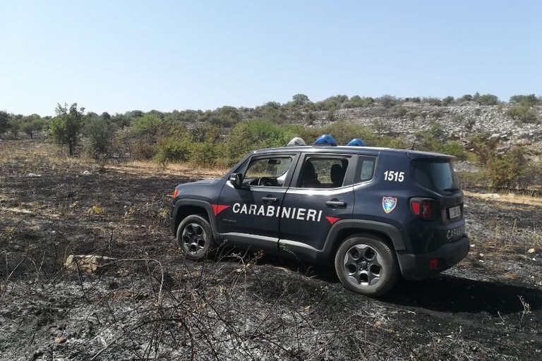 Carabinieri Forestali