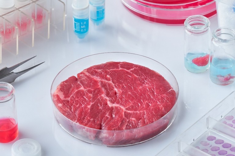 carne sintetica