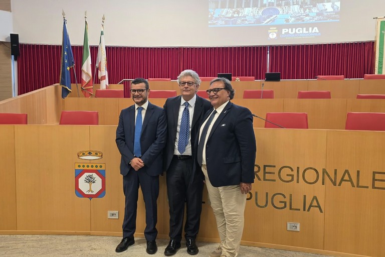 Commissione criminalità