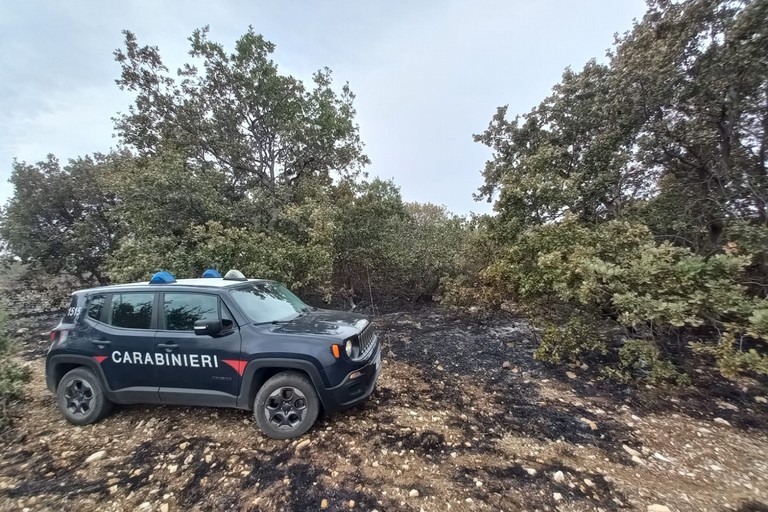 Carabinieri Forestali