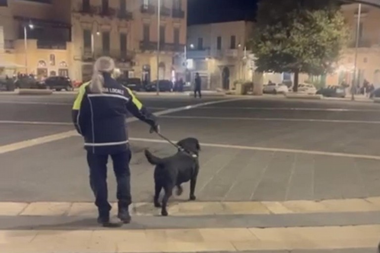 controlli della Polizia locale