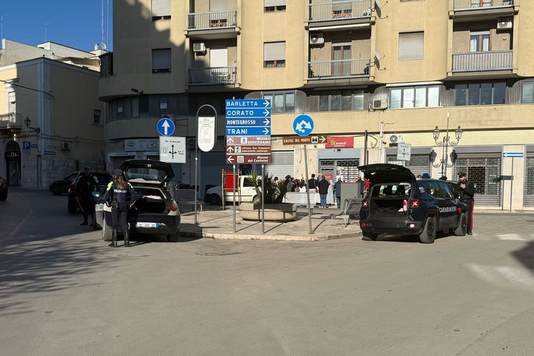 controlli congiunti Carabinieri e Polizia Locale